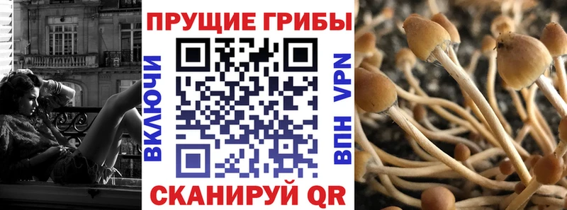 Галлюциногенные грибы Cubensis  Междуреченск 