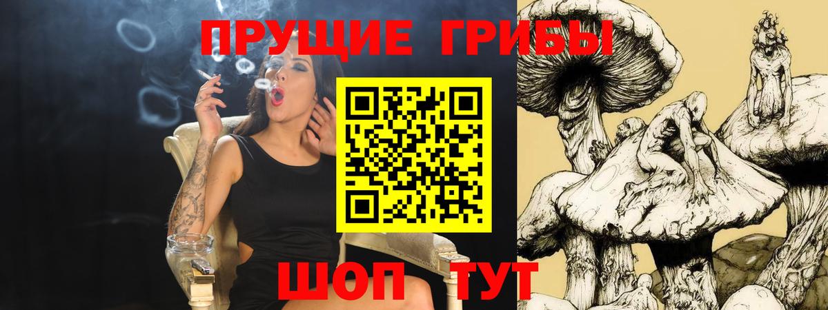 Псилоцибиновые грибы Cubensis  Междуреченск 