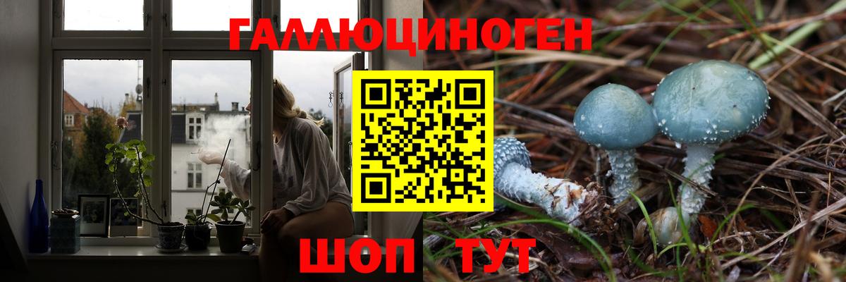 Междуреченск  Галлюциногенные грибы Magic Shrooms  Вход с VPN 